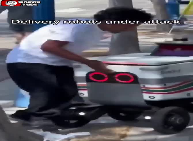 Video :When delivery robots are targeted